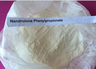 Белые стероид Нандролоне порошка/Нандролоне Фенылпропионате КАС 62-90-8 Дураболин