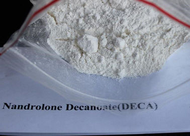 Белый стероид КАС 7207-92-3 Дека Дураболин порошка, одобренный СГС порошка Деканоате Нандролоне