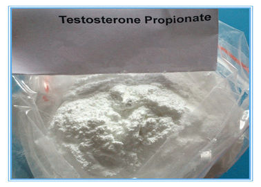 Стероид впрыски Пропиноате теста КАС 57-85-2 порошка тестостерона