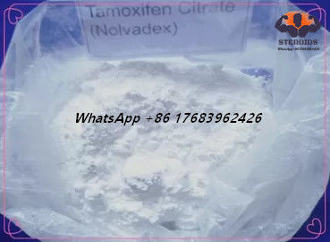 Цитрат CAS 54965-24-1 Nolvadex CAS 54965-24-1 Tamoxifen стероидов эстрогена белого порошка анти-